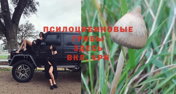 прущая мука Верхний Тагил