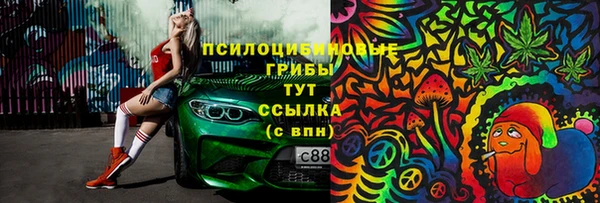 молекула духа Верея
