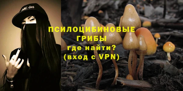 молекула духа Верея