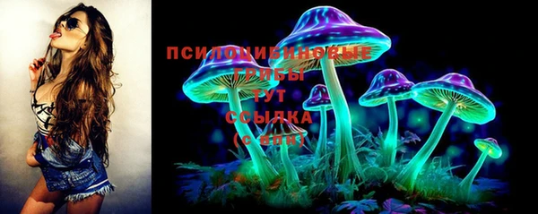 прущая мука Бронницы